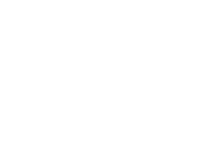Insights Lead